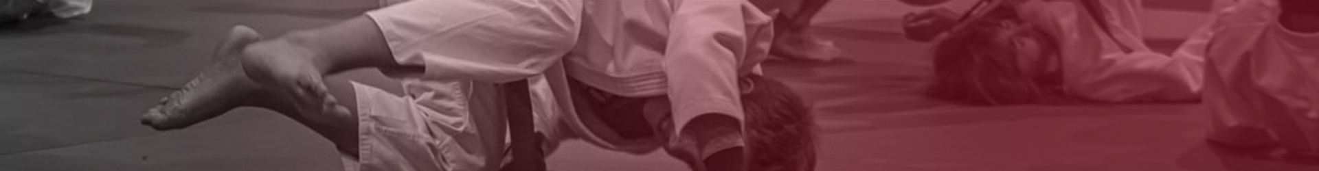 RANKING GRUP. Judo Training